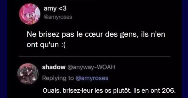 TweetsDrolesFlippants