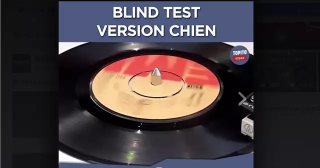 blind-test-chien