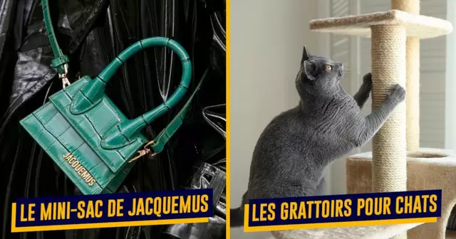 ProduitsPlusRecherchesVinted2022