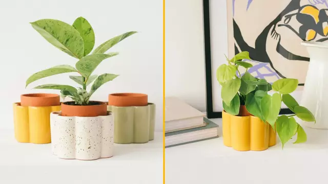 POT-ARROSOIR-AUTOMATIQUE-2