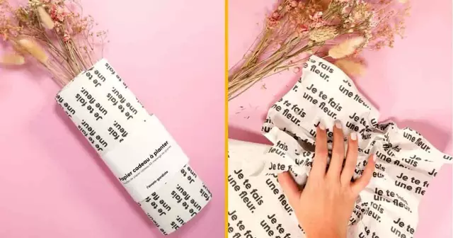 emballage-cadeau-planter-graines-fleurs