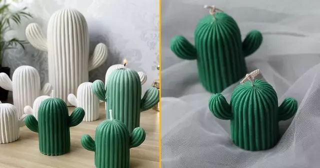 une-bougie-cactus