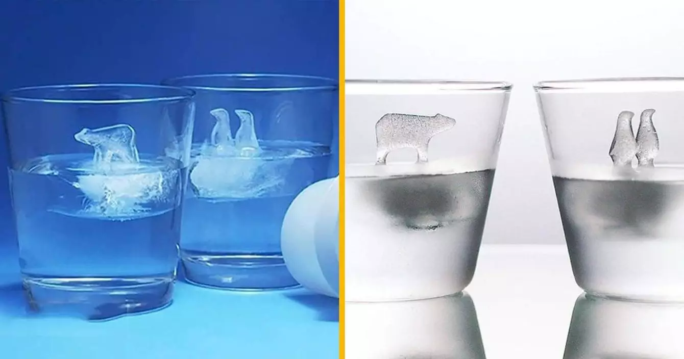 moule-glacon-banquise-arctique-verre