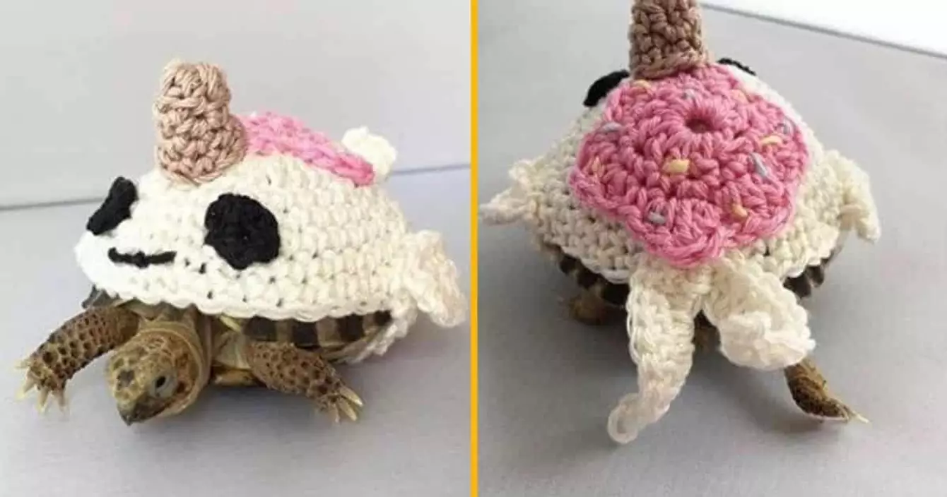 costume-narval-tortue