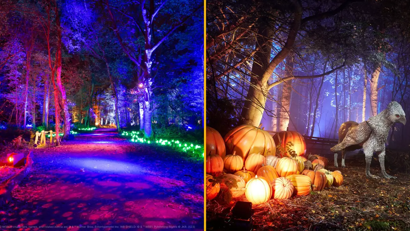 HARRY-POTTER-EXPERIENCE