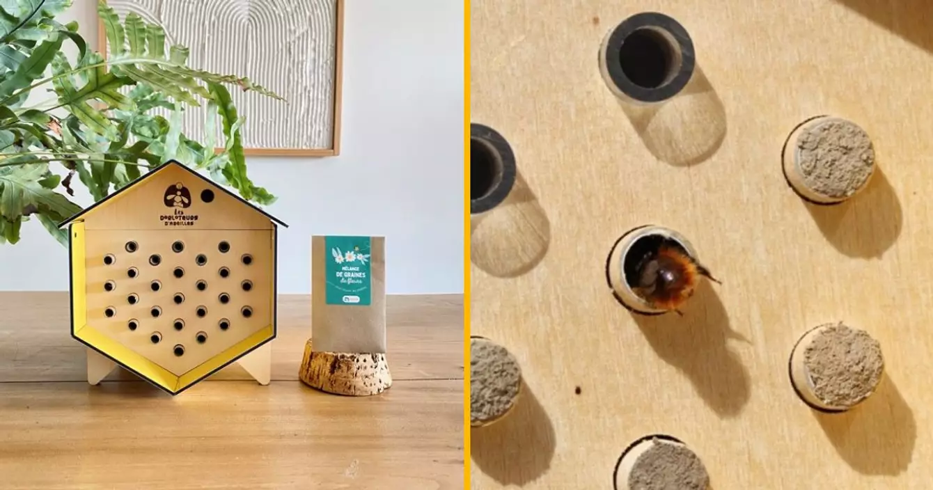 hotel-insectes-a-accrocher