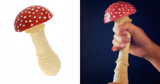 champignon-anti-stress