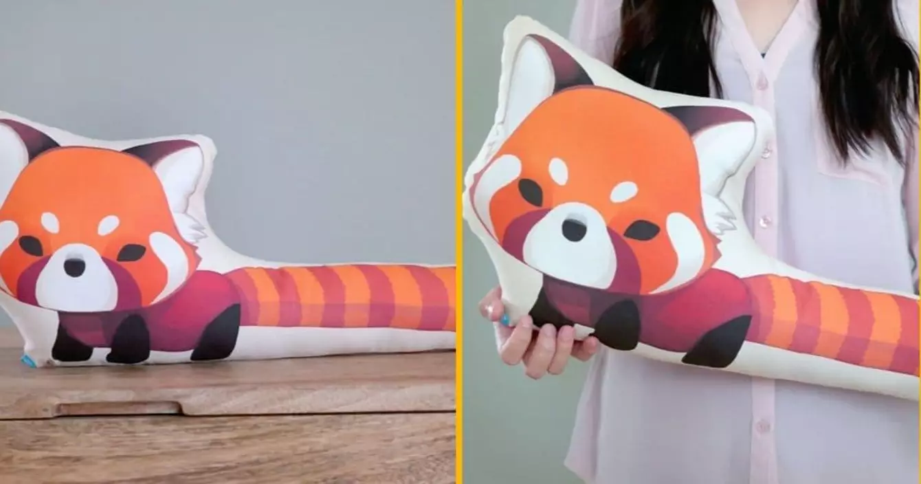 un-coussin-panda-roux