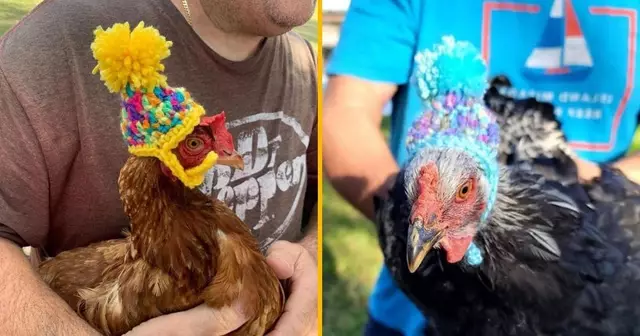 bonnet-crochet-poule