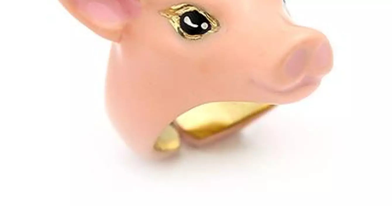 pig ring
