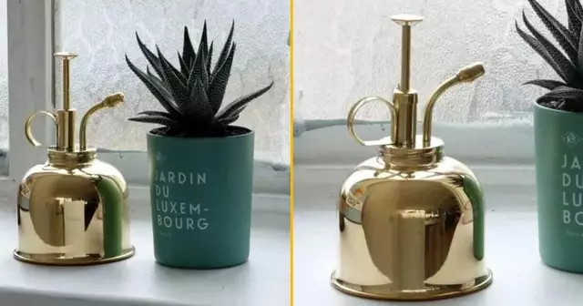 arrosoir-vaporisateur-dinterieur