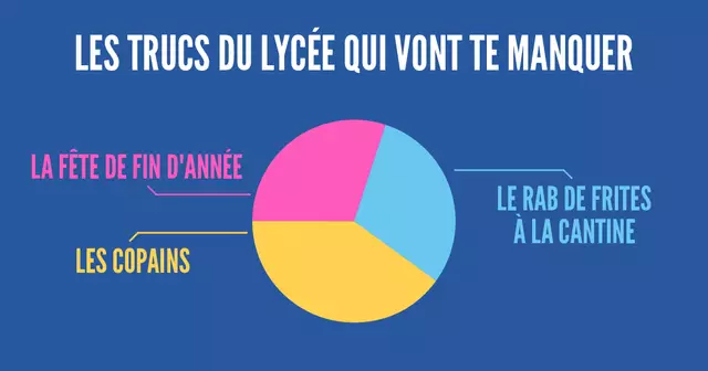 une_infographie_camembert