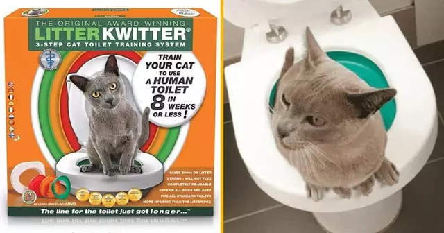 kit-litter-kwitter-caca-chat-toilettes