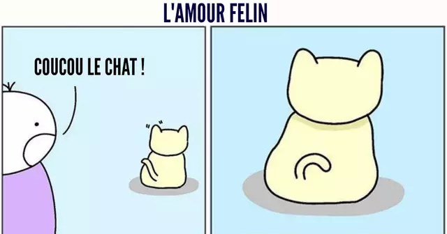 chat