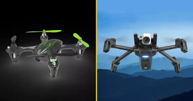 VU5FX1NIT1BQSU5HX3BhcnJvdC5qcGc=