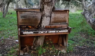 une-nature-piano