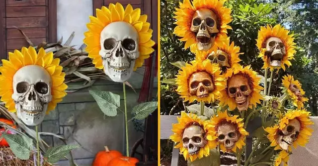 tournesols-tetes-mort-halloween