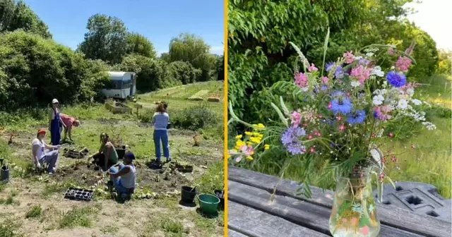 visite-ferme-florale-permaculture