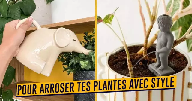 UNE_SHOPPING_ARROSOIR