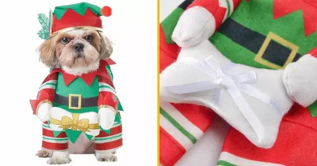 costume-lutin-pour-chien