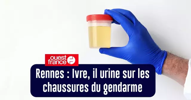 top champion semaine