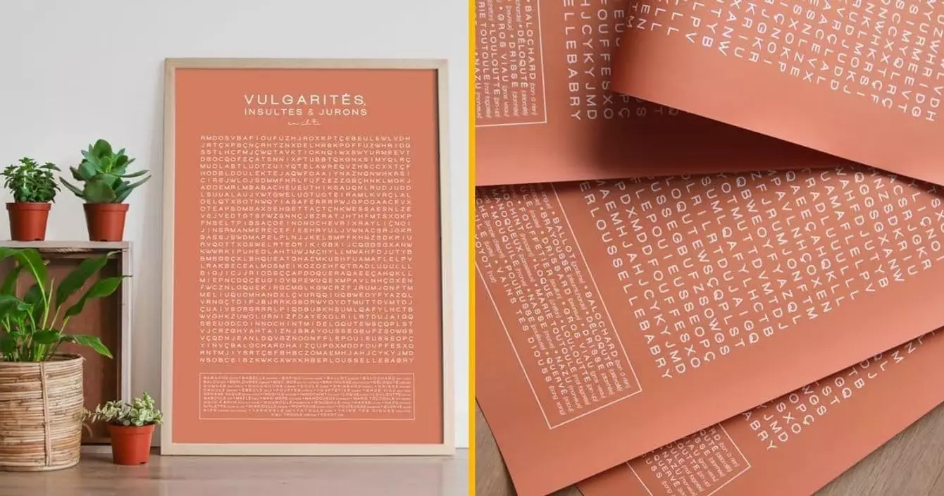 affiche-vulgarite-chtis