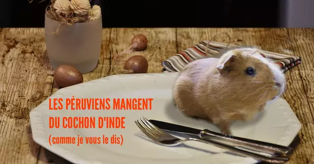 cover-1179704_960_720