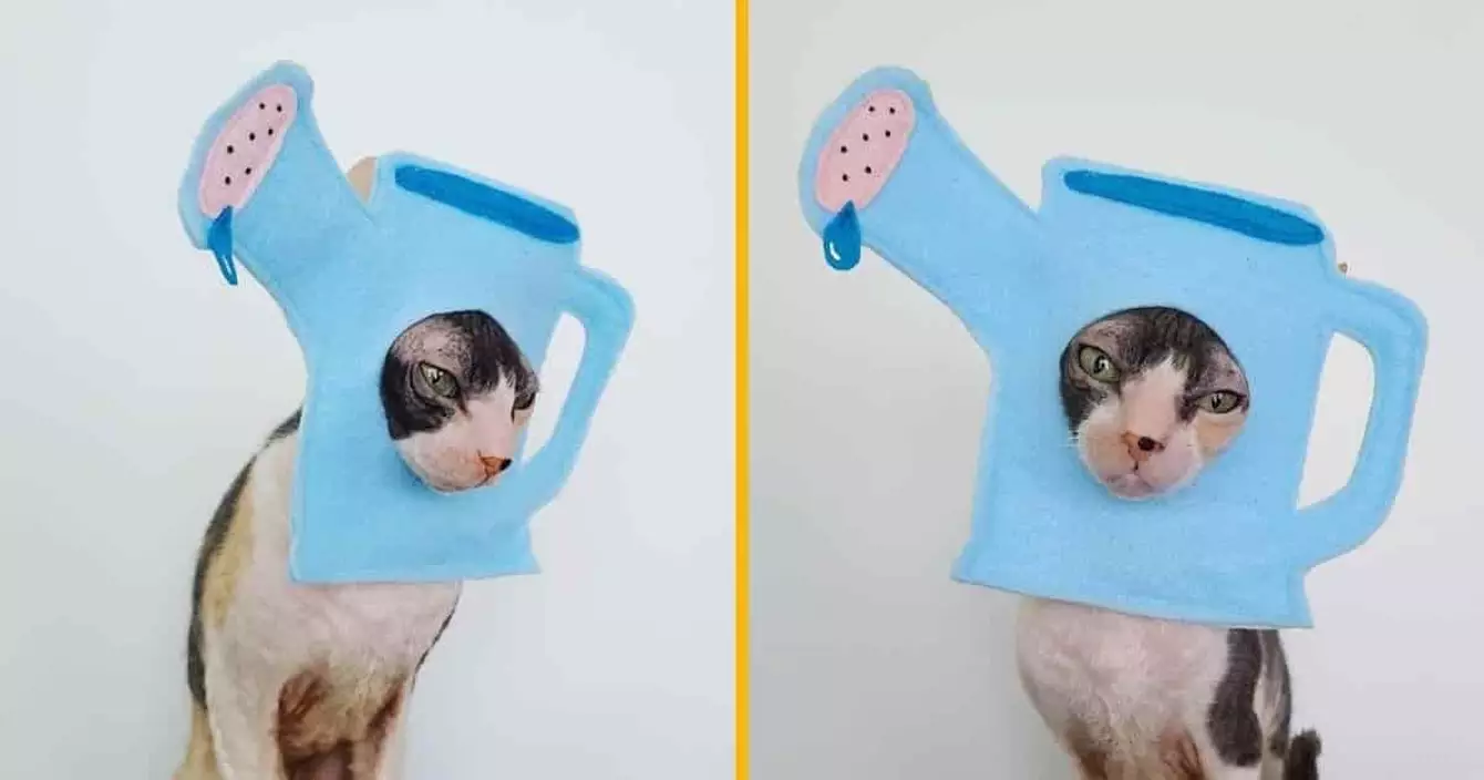 joli-arrosoir-embellir-animal