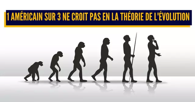 shutterstock_161970182 (1) (1)