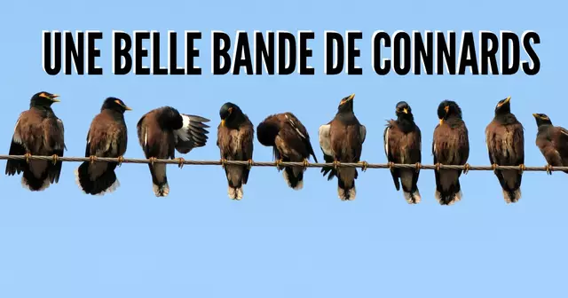 4962969492_007a6e1ce0_o