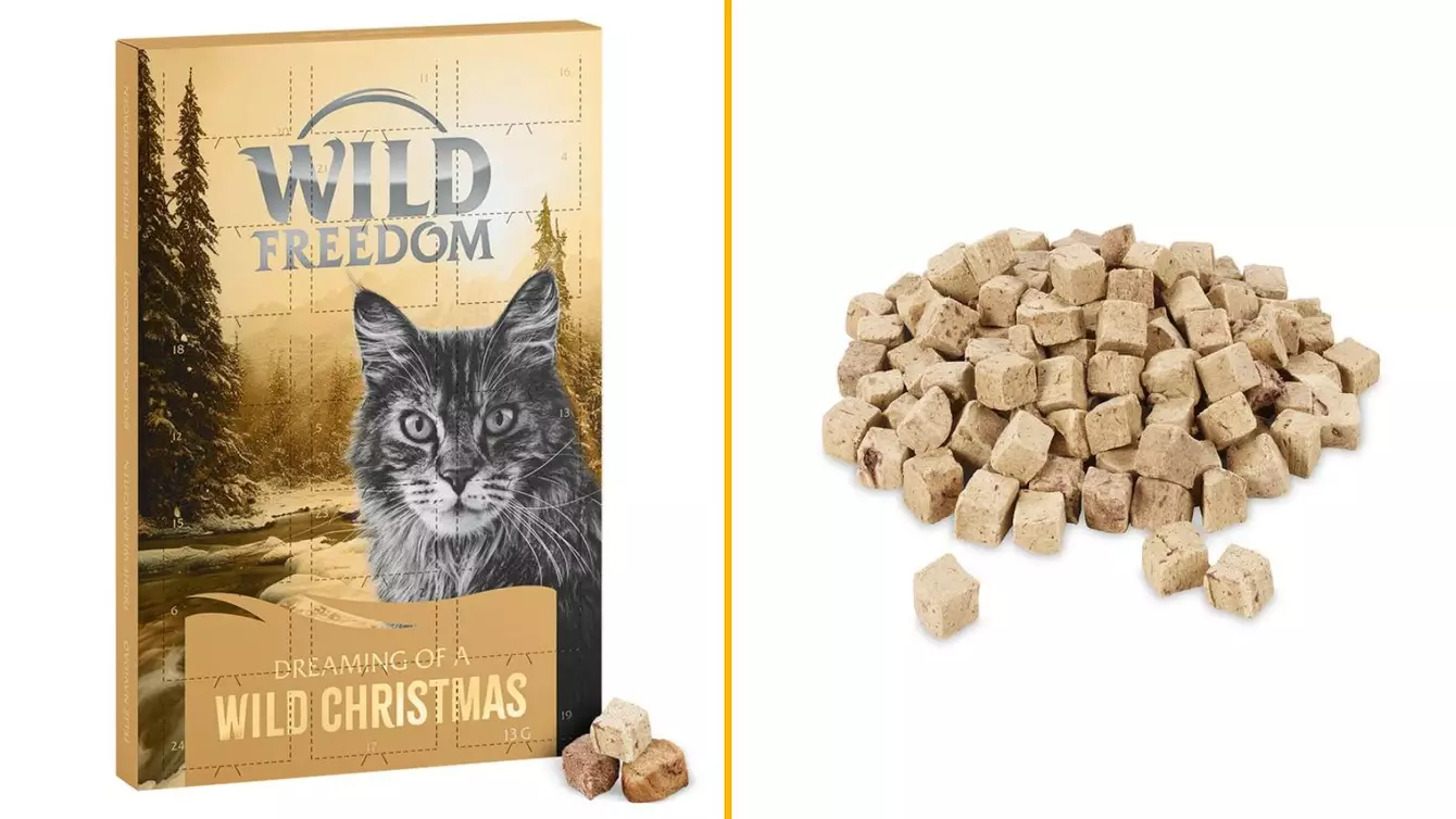 CALENDRIER-DE-LAVENT-CHAT