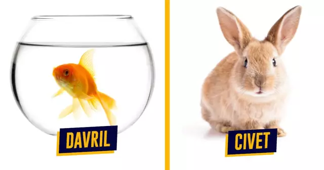 UNE_PRENOMS_ANIMAUX_2