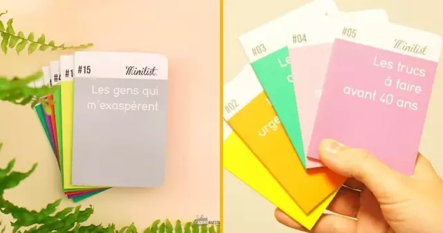 un-carnet-des-gens-qui-texasperent