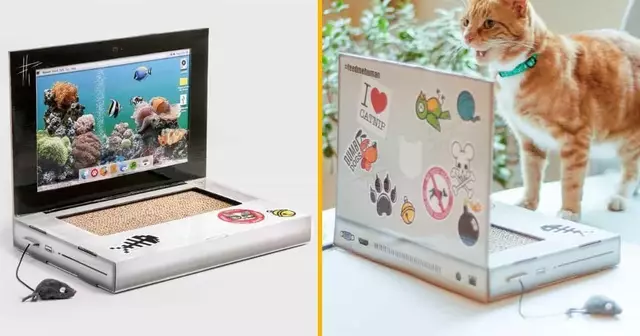 grattoir-ordi-chat-imac