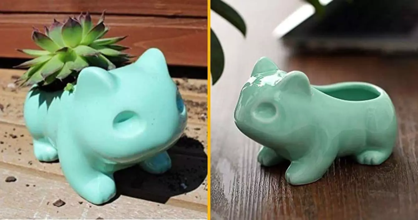 pot-plante-bulbizarre