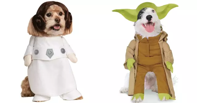 chien-star-wars