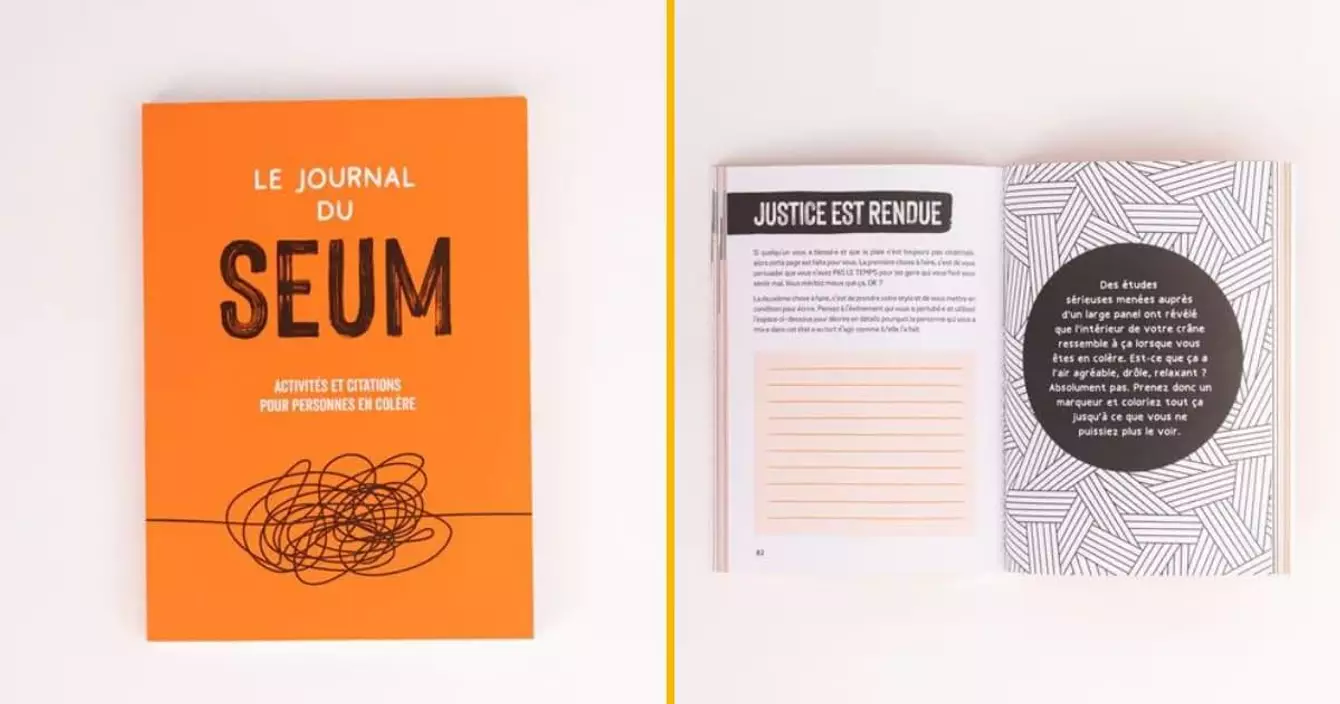 journal-seum-saccager