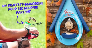 UNES_shopping_mangeoires