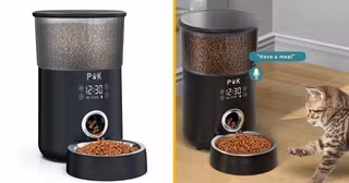 distributeur-automatique-nourriture-chien-