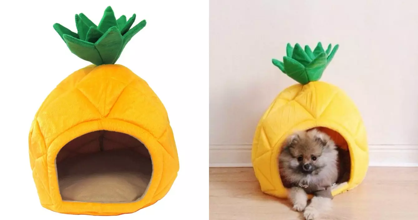 panier-chien-ananas-2