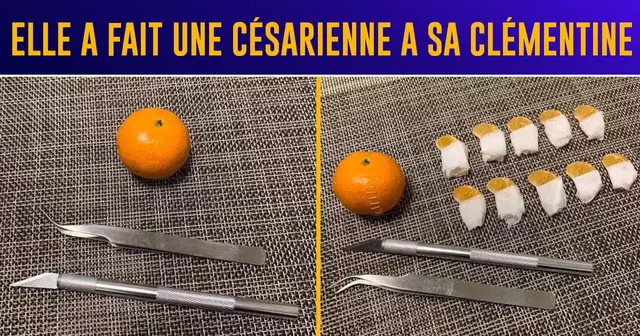 top ennui confinement