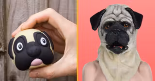 UNE_SHOPPING_dog_mask