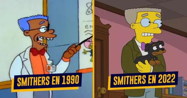 UNE-TOP-SIMPSON-AVANT-APRES