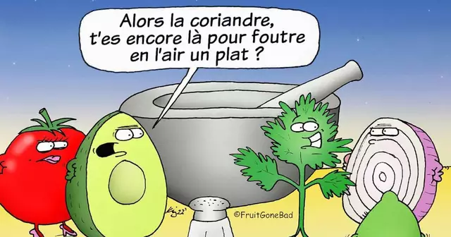 UNE_TOPITO_illus-coriandre