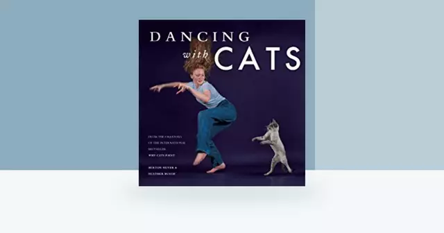 dancing cat