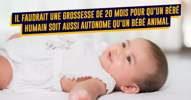 ReponsesQuestionsBebe