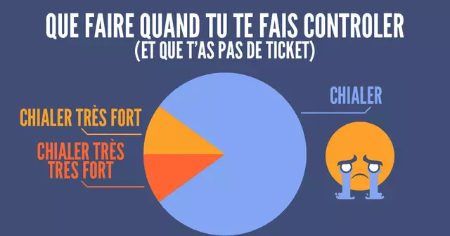 une_infographie_camembert
