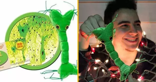 peluche-cellule-nerveuse