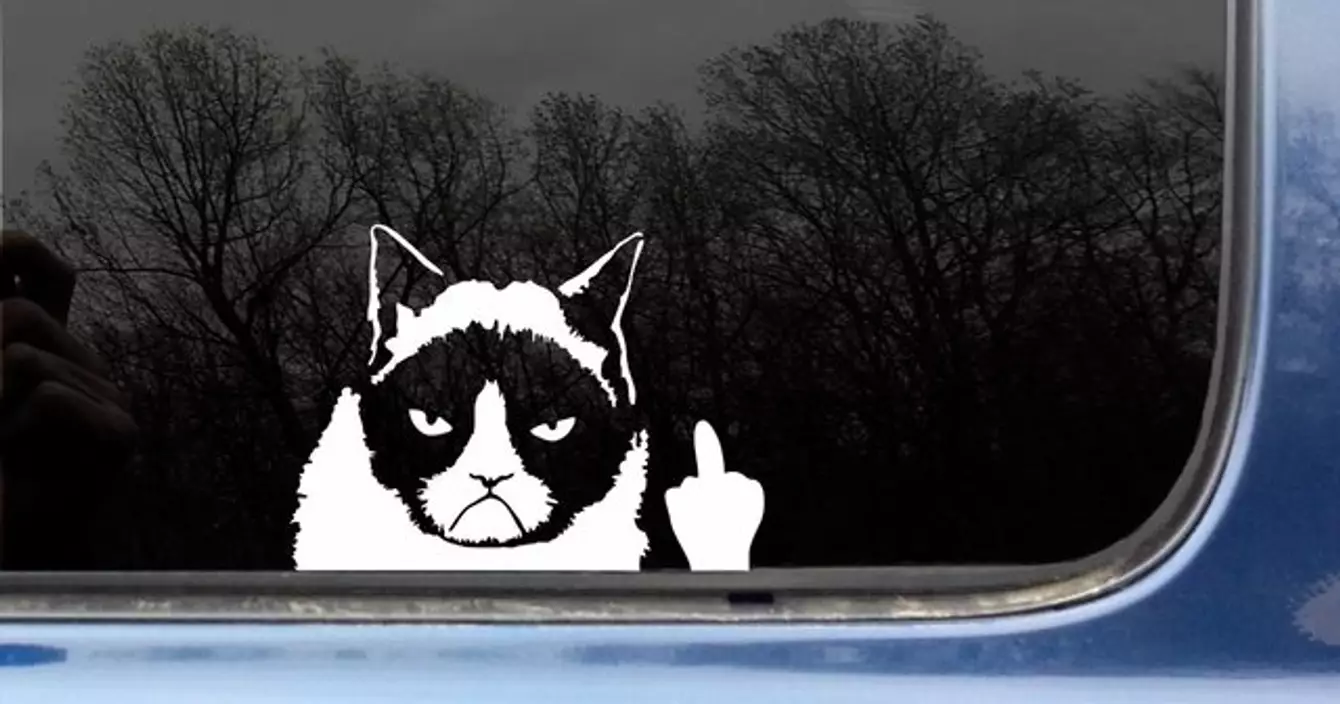 422086779902889531_811f327c1aea