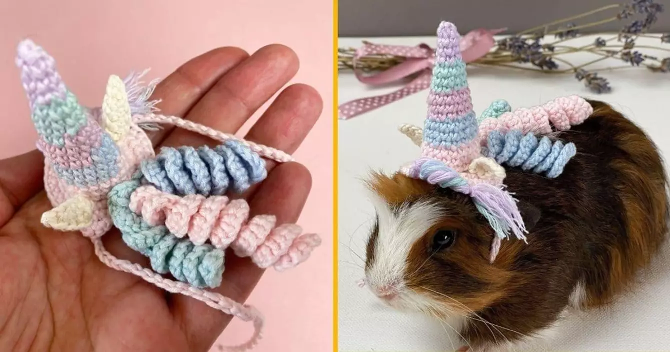 costume-licorne-cochon-inde